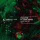 What We Do feat Cami Jones Single