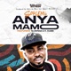 Anyamamo feat Sleenga K Dubb Single