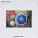 Dreams Single
