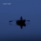 lonely swim Single