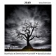 2049 Vocal Version Single