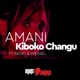 Kiboko Changu feat Radio and Weasel Single