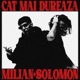 Cat Mai Dureaza Single