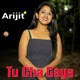 Tu Cha Gaya Single