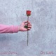 Not Another Sad Song feat Oh well Single