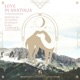 Love in Anatolia Ed Noodle Remix Single