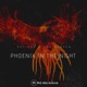Phoenix in the Night Single