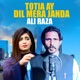 Totia Ay Dil Mera Janda Single