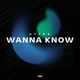 Wanna Know Single