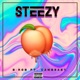 STEEZY feat Cambeasy Single