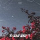 Funky Night Single