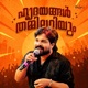 Hridhayangal Thammilariyum