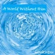 A World Without Him Single