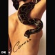 Caress EP