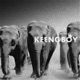 Inferno feat Kareem Single