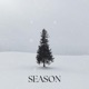Season Single