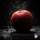 Adam Eve Freestyle Single