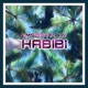 Habibi feat ILY Remix Single
