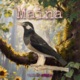 Maina Single