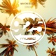 Corsica Single