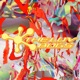 寄ってらっしゃい feat 重音テト Single