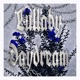 Lullaby Daydream Single