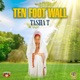 Ten Foot Wall Single