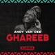 Ghareeb Single