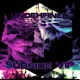 Subside VIP Single