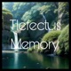 Memory Single
