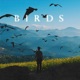 Birds Single