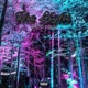 The Light Single