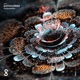 Automation Single