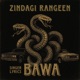 Zindagi Rangeen Single