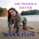 Me Traes a Gatas Single