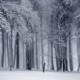 Cold Nights EP