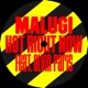 Hot Right Now feat Alvin Paris Single