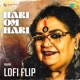 Hari Om Hari Lofi Flip Single