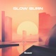 Slow Burn Single