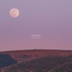 Midnight Single