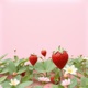 Berry Berry Single
