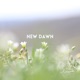 New Dawn Single