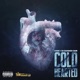 Cold Hearted