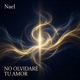 No Olvidare Tu Amor Single