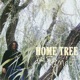 Home Tree feat Femdot Single
