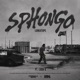 Sphongo feat Luda G Single