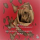 Rosa Single
