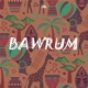 Bawrum feat Ezequiel Menezes Single