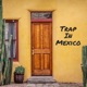 Trap In Mexico feat Mute Davinci Single