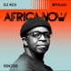Africa Now November 2024 DJ Mix